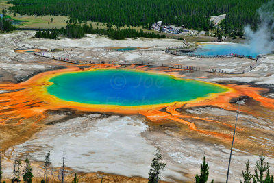 Yellowstone NP 7-17-13 2110.JPG