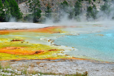 Yellowstone NP 7-17-13 2114.JPG
