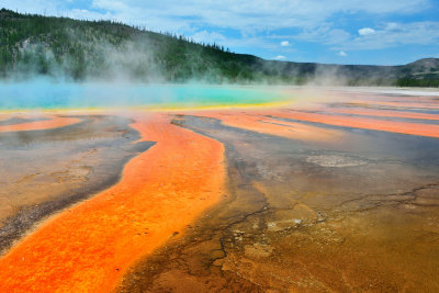 Yellowstone NP 7-17-13 2121.JPG