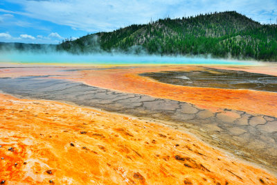 Yellowstone NP 7-17-13 2124.JPG