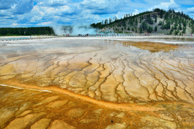 Yellowstone NP 7-17-13 2125.JPG