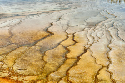 Yellowstone NP 7-17-13 2126.JPG