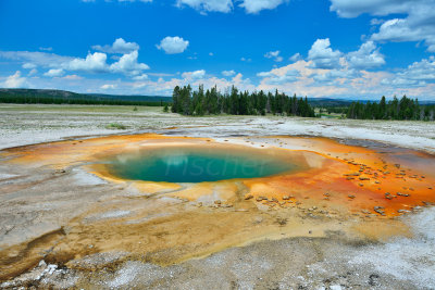 Yellowstone NP 7-17-13 2127.JPG