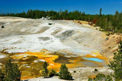 Yellowstone NP 7-19-13 2392.JPG