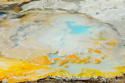 Yellowstone NP 7-19-13 2395.JPG