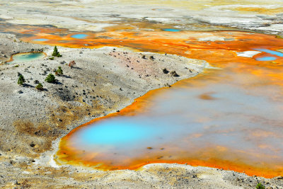 Yellowstone NP 7-19-13 2399.JPG