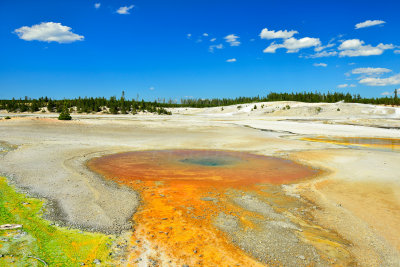 Yellowstone NP 7-19-13 2408.JPG