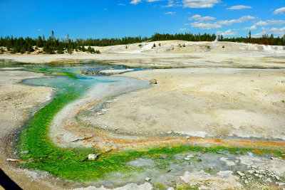 Yellowstone NP 7-19-13 2411.JPG