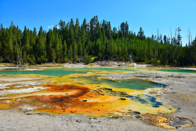 Yellowstone NP 7-19-13 2413.JPG