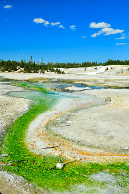 Yellowstone NP 7-19-13 2412.JPG