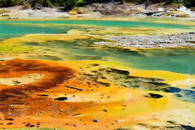 Yellowstone NP 7-19-13 2414.JPG