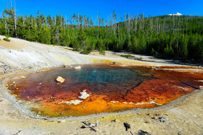 Yellowstone NP 7-19-13 2430.JPG