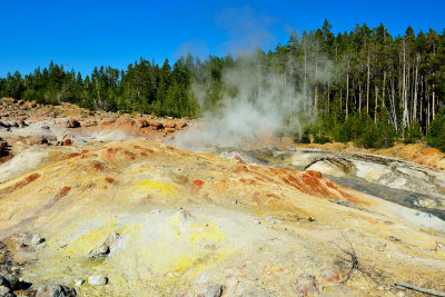 Yellowstone NP 7-19-13 2435.JPG