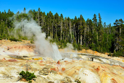 Yellowstone NP 7-19-13 2440.JPG