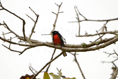 Aransas NWR 12-13-13 0309-25.JPG