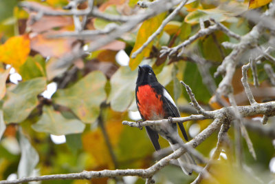 Aransas NWR 12-13-13 0414-36.JPG