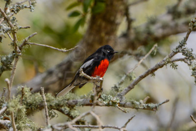 Aransas NWR 1-17-14 0054-3.JPG