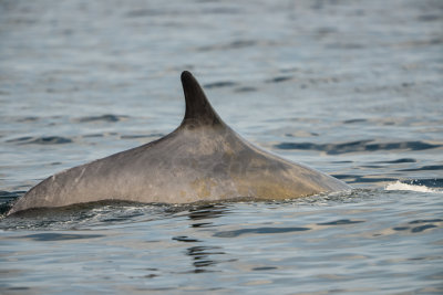 NH Coast 8-10-14 1256-290.JPG