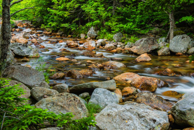 White Mtns NH 8-3-14 0024-Edit-12.JPG