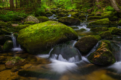 White Mtns NH 8-7-14 0442-162.JPG