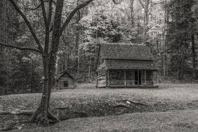 Great Smokey Mtns NP 10-28-14 0637-Edit-Edit-176.JPG