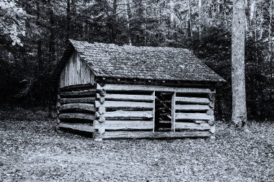 Great Smokey Mtns NP 10-28-14 0650-Edit-185.JPG