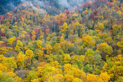 Great Smokey Mtns NP 10-29-14 0925-340.JPG