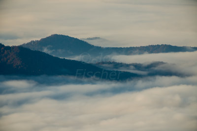 Great Smokey Mtns NP 10-31-14 1167-444.JPG