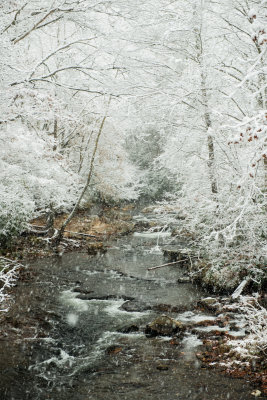 Great Smokey Mtns NP 11-1-14 1255-457.JPG