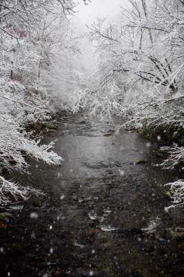 Great Smokey Mtns NP 11-1-14 1256-458.JPG