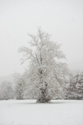 Great Smokey Mtns NP 11-1-14 1259-461.JPG