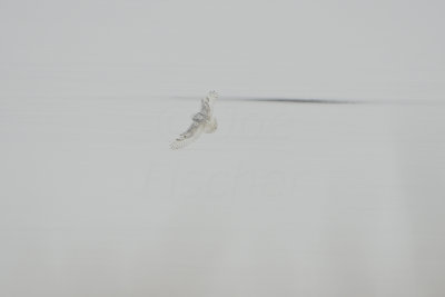 Long Branch SP 12-22-13 0080.JPG