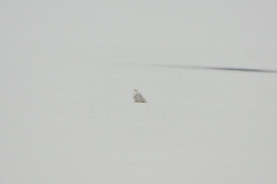 Long Branch SP 12-22-13 0089.JPG