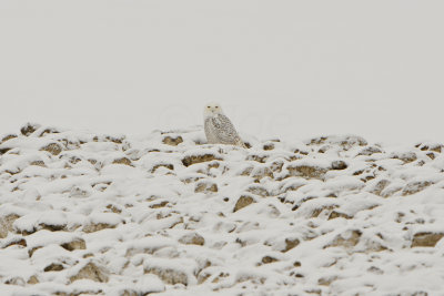 Long Branch SP 12-22-13 0116.JPG