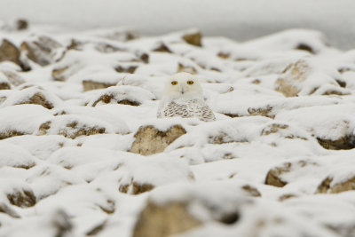 Long Branch SP 12-22-13 0198.JPG