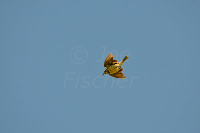 Netherlands 6-22-14 1780-361.JPG