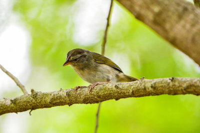 Bentsen SP 7-11-14 0387-50.JPG