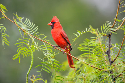 Bentsen SP 7-11-14 0334-39.JPG