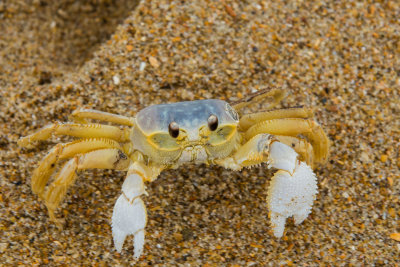 Outer Banks NC 7-23-14 0219-40.JPG