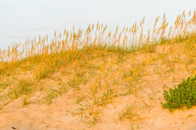 Outer Banks NC 7-24-14 0280-59.JPG