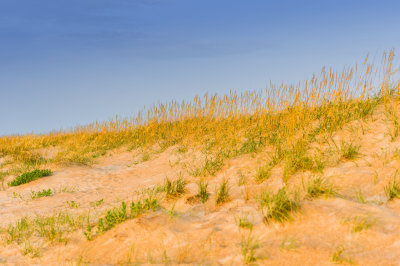 Outer Banks NC 7-24-14 0282-Edit-60.JPG