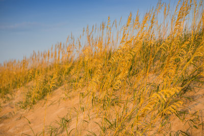 Outer Banks NC 7-24-14 0286-Edit-62.JPG