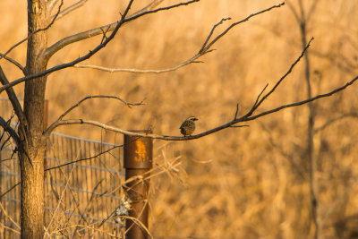 Granger Area 1-16-15 0094-17.JPG