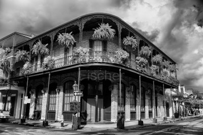 New Orleans 9-1-14 0291-Edit-0079.JPG