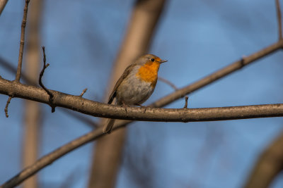 Stuttgart, Germany 3-19-15 1199-0499.jpg