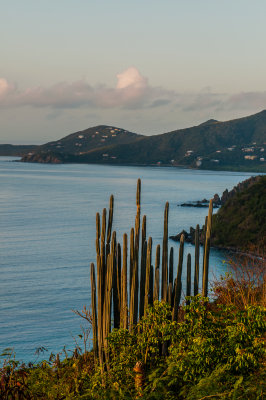 St. John 3-15-10 0190-0060.jpg