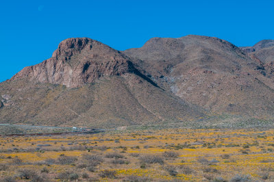 Franklins Mtns 3-13-12 0871-0136.jpg