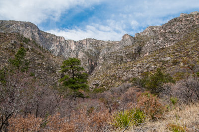 Guadalupe Mtns NP 3-14-12 0925-0148.jpg