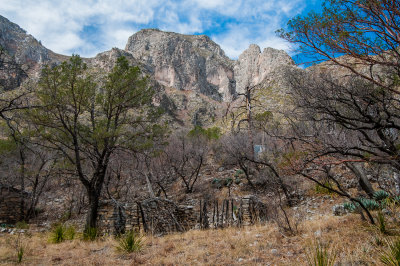 Guadalupe Mtns NP 3-14-12 0926-0149.jpg