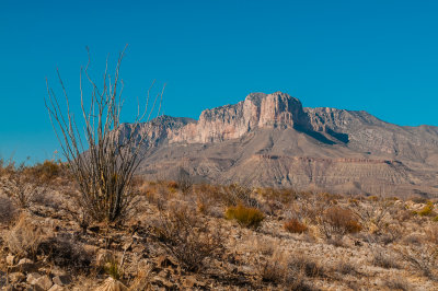 Guadalupe Mtns NP 3-14-12 0951-0156.jpg